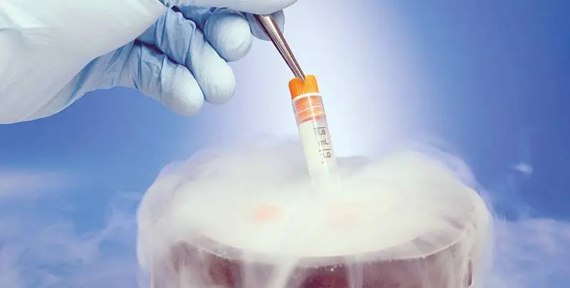 Egg & Embryo Freezing in Turkey: Vitrification & Fertility Preservation